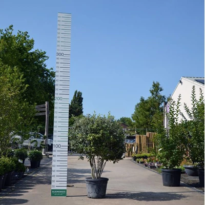 22459.JPG