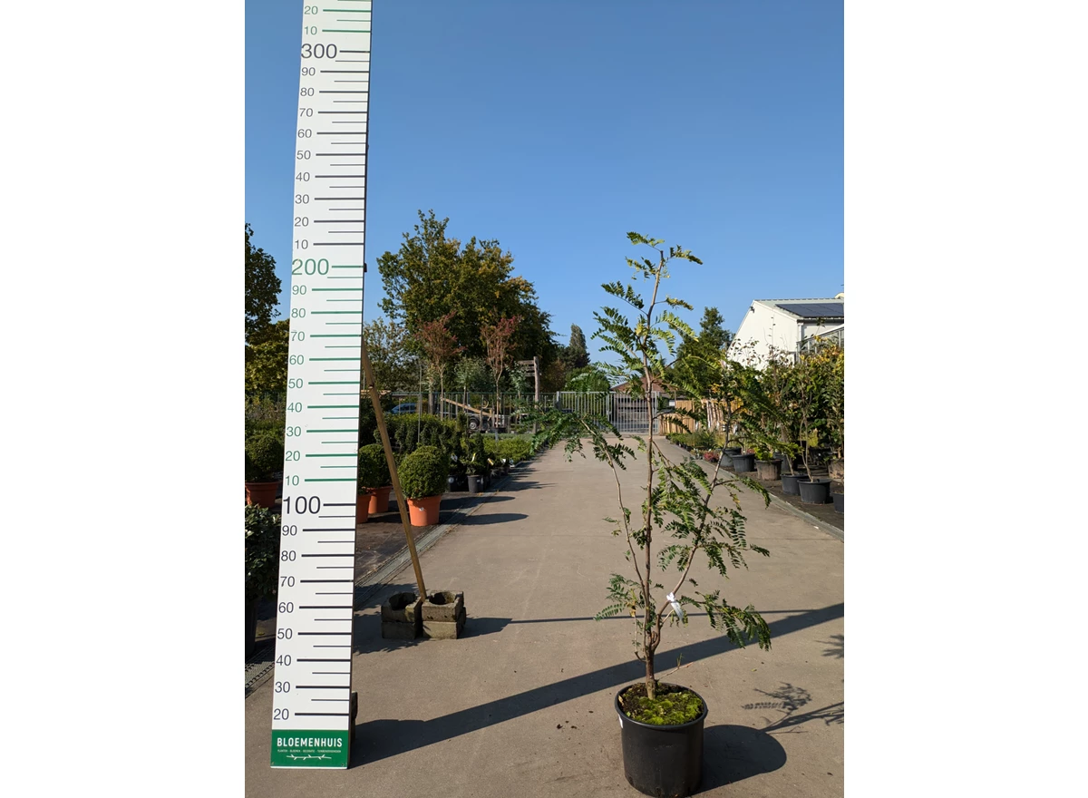 69301.jpg