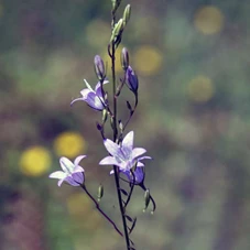 873.jpg