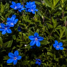 1765.jpg
