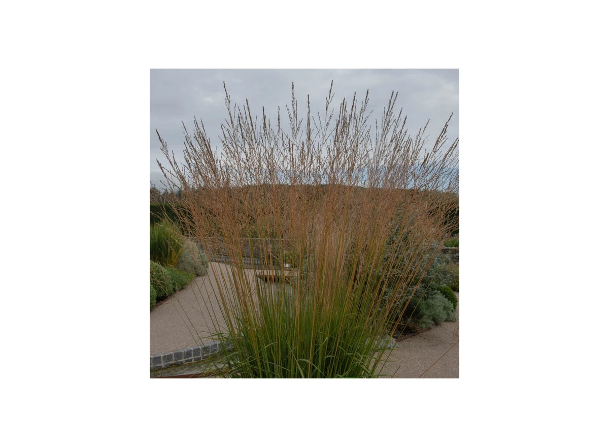 2659.jpg