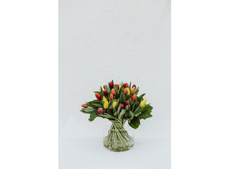 gemengde tulpen.jpg