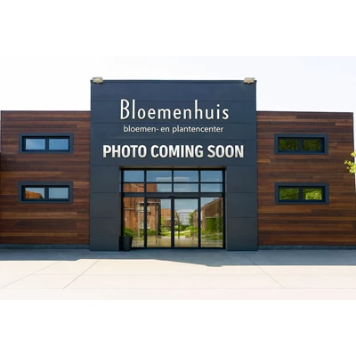 Photo coming soon.png